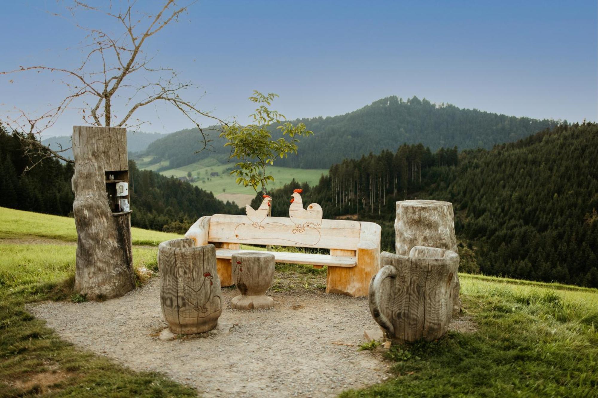 Landhotel Gasthaus Zum Pflug Zell am Harmersbach Bagian luar foto